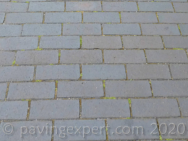 blue clay pavers