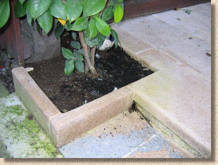 tim summers' patio