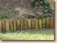 log roll