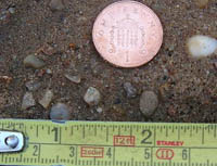 grit sand