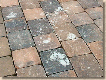 cement stained block paving
