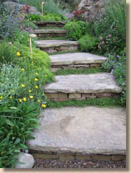 steps in australian garden