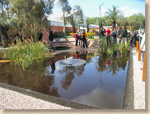 australian garden