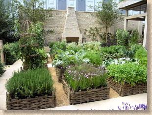 solstice garden