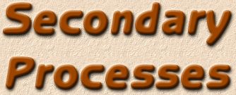 secondary processes