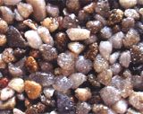 8mm Pearl
