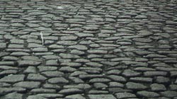 rough setts