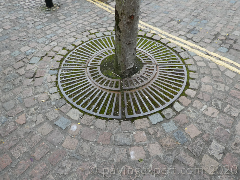 tree pit grille