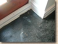 asphalt floor