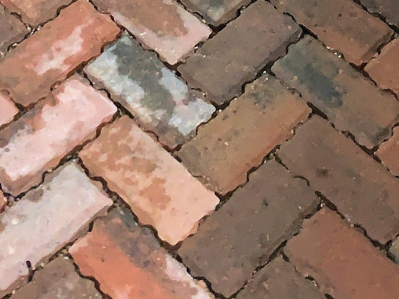 damp blocks close-up