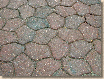 Fischer paving