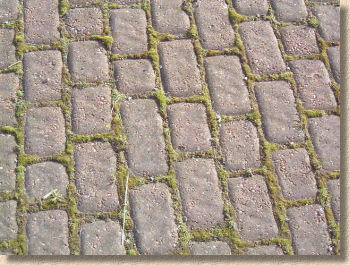 awful imitation setts