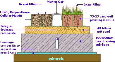 cell cross section