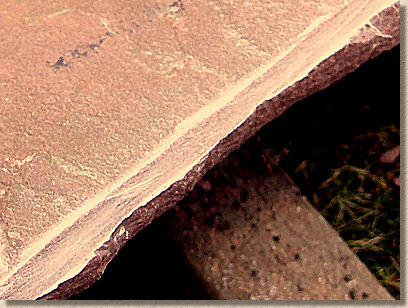 close up of sawn edge
