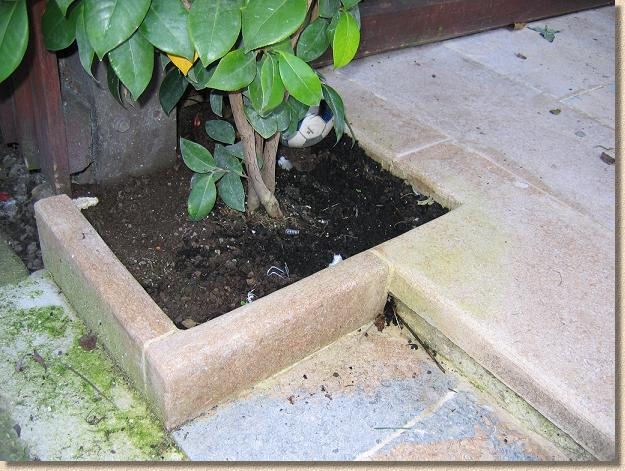 tim summers patio