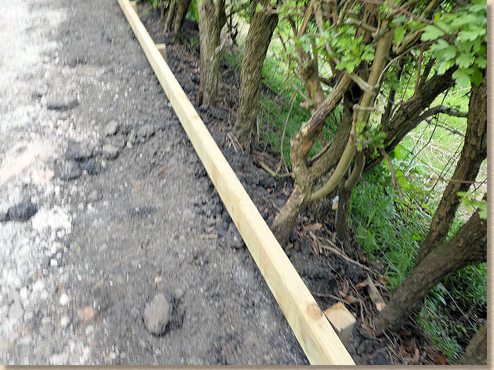 newly installed timber edging
