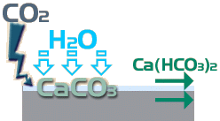 CaCO3 to Ca(HCO3)2
