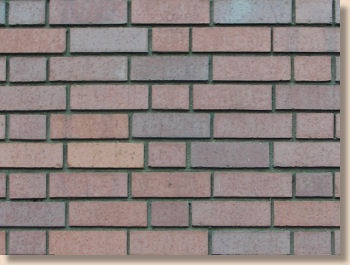 Flemish Garden Wall brickwork