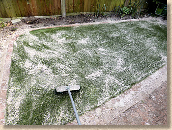 sand scattered over lawn