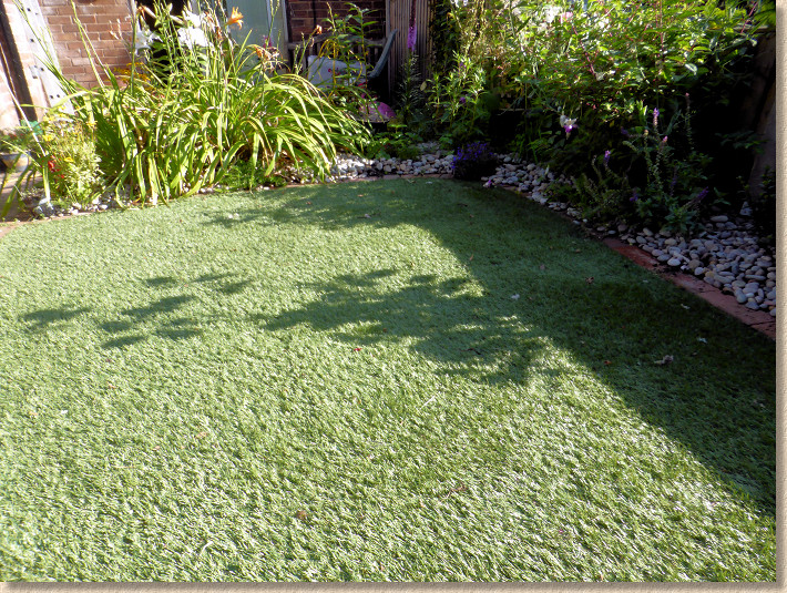 lawn in autumn