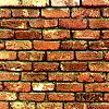 reclaimed bricks