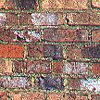 reclaimed bricks