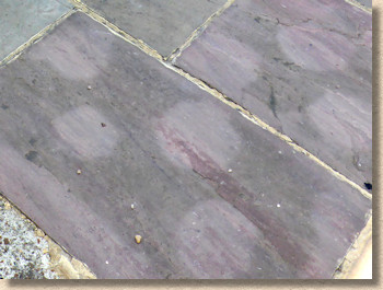 reflective staining reflective staining
