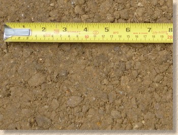 compacted sandstone gravel