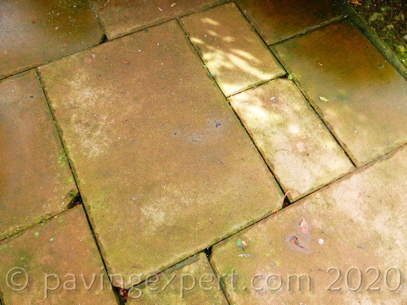 Old Red Sandstone with algae and lichens