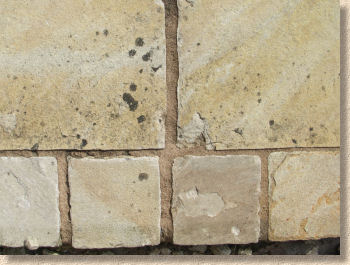 Lichen, Black Spots/Splodges Ruining Your Patio or Driveway