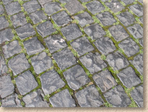 moss on setts