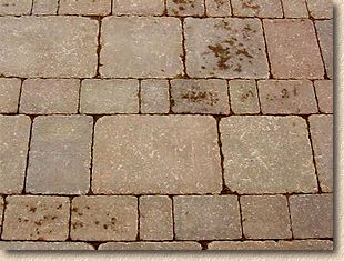 tumbled paver