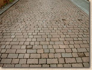 tumbled paver vies