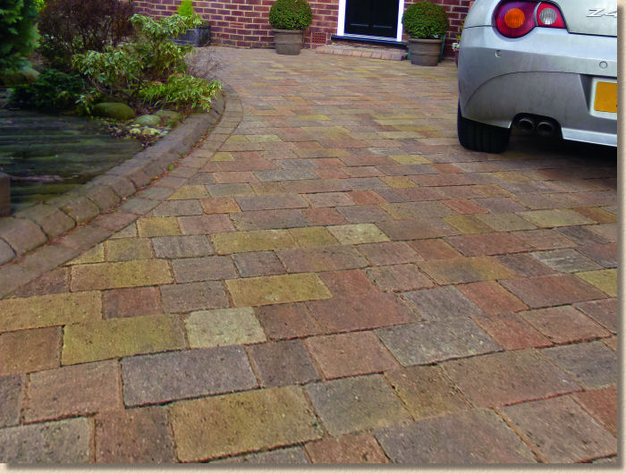 tegula drivesett sutumn