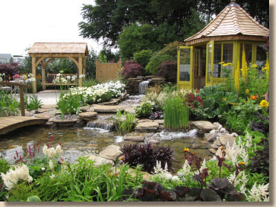 pond garden