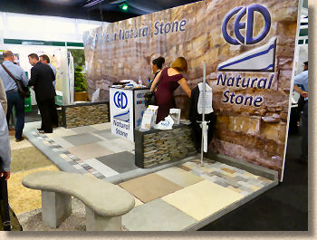 CED display