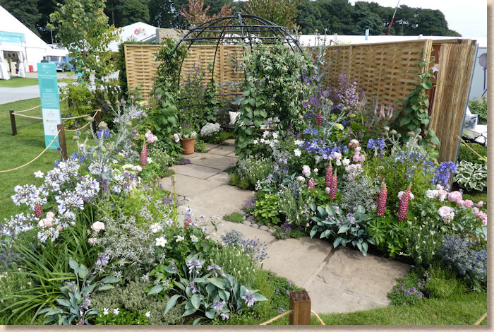 Arley Thyme to Retreat garden
