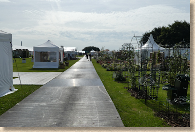 tatton rhs flower show 2017