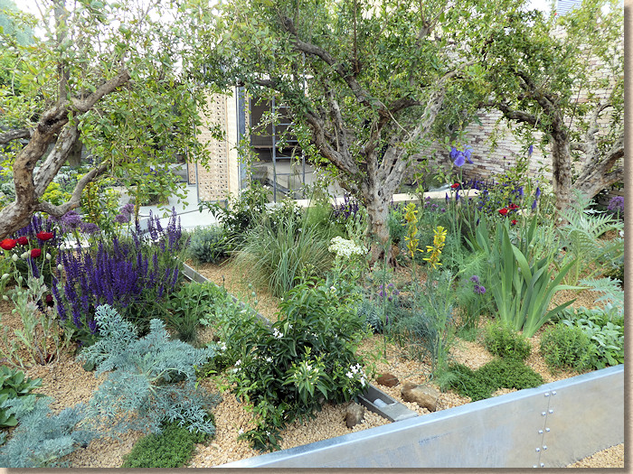 The Lemon Tree Trust Garden