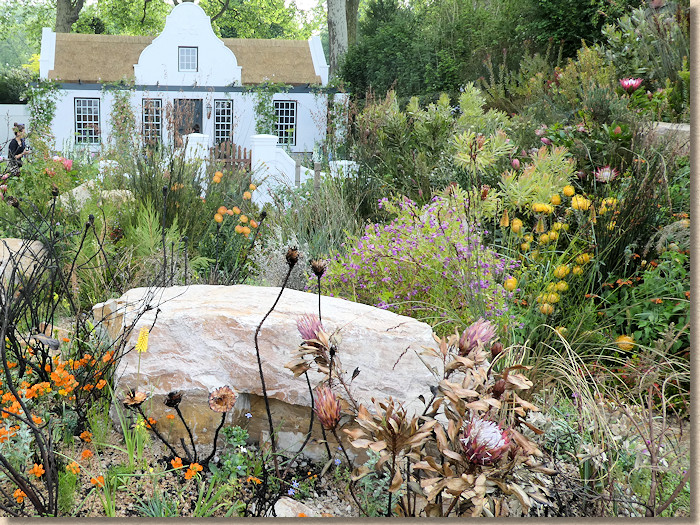 fynbos garden fynbos garden