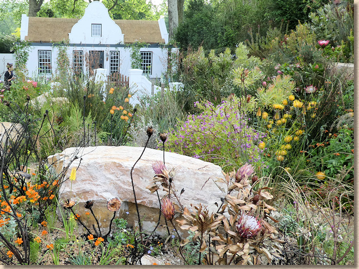 fynbos garden