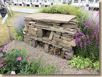 bug hotel bug hotel