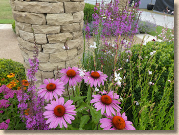 flowers and stone