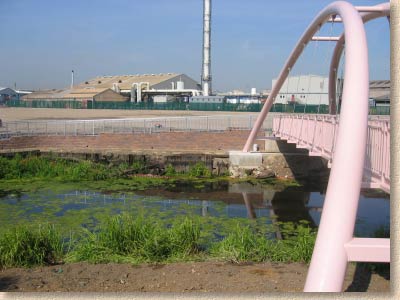 mossops creek bridge