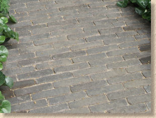 Van Moortel clay pavers