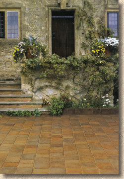 Trident paving