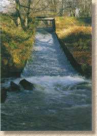 Cannop Ponds spillway