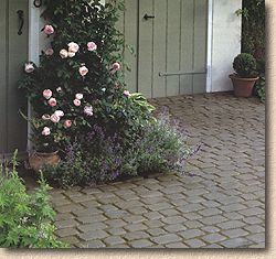 Elegance Setts