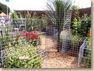 caged plants