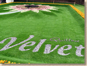 slate waste lettering